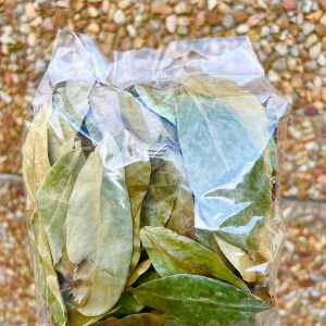 Leaves Tea